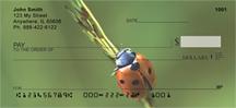 Lonely Ladybugs