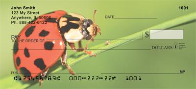 Lonely Ladybugs