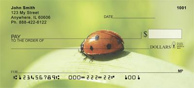 Lonely Ladybugs
