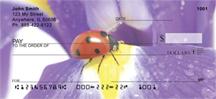 Petal Ladybugs