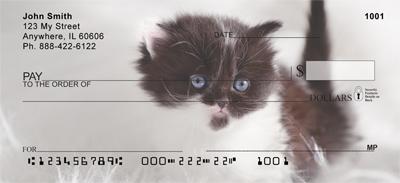 Persian Kittens
