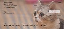 Scottish Fold Cats