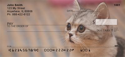 Scottish Fold Cats