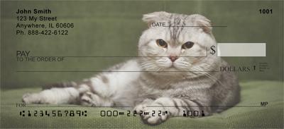 Scottish Fold Cats