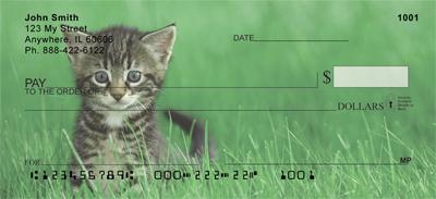 Tabby Kittens