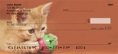 Tabby Kittens