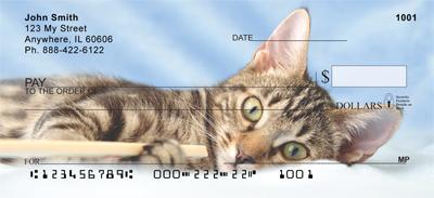 Tabby Kittens