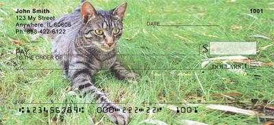Tabby Cats