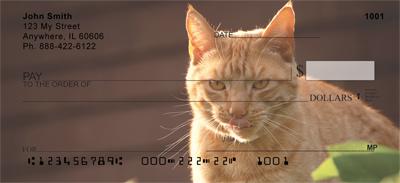 Tabby Cats