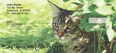 Tabby Cats