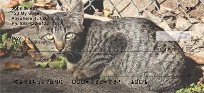 Tabby Cats