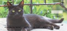 Black Cats