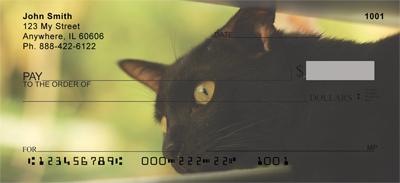 Black Cats
