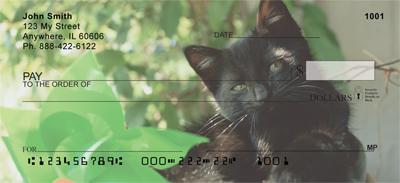 Black Cats