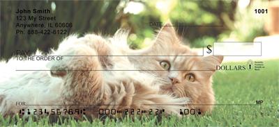 Ginger Cats
