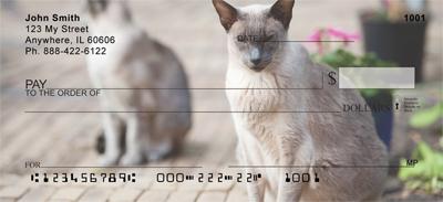 Frisky Siamese