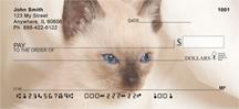 Siamese Kittens