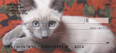 Siamese Kittens