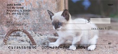 Siamese Kittens