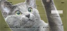 Russian Blue Cats