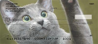 Russian Blue Cats