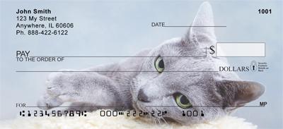 Russian Blue Cats