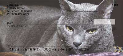 Russian Blue Cats