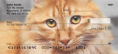Bobtail Cats