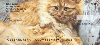 Bobtail Cats