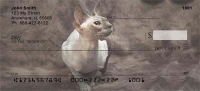 Sphynx Cats