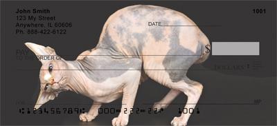 Sphynx Cats