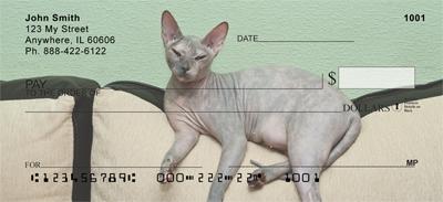 Sphynx Cats