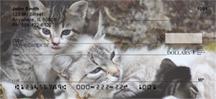 Momma Cats