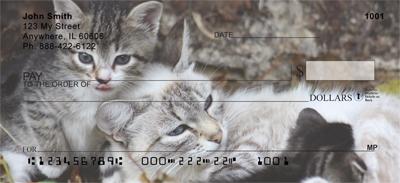 Momma Cats