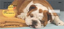 Bulldogs Having Fun