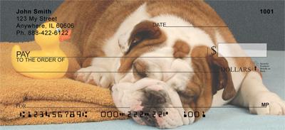 Bulldogs Having Fun