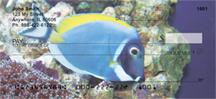 Surgeonfish