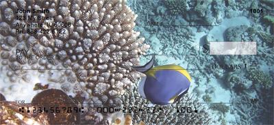 Surgeonfish