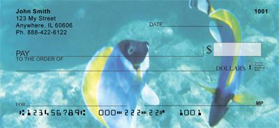 Surgeonfish