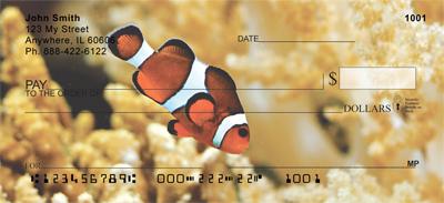 Clown Fish