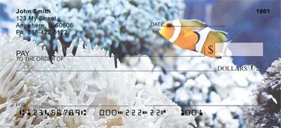 Clown Fish