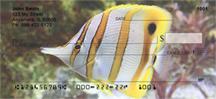 Beautiful Fish