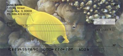 Beautiful Fish