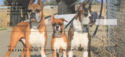 Boxer Pals