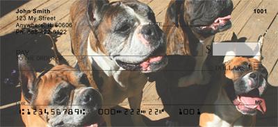 Boxer Pals