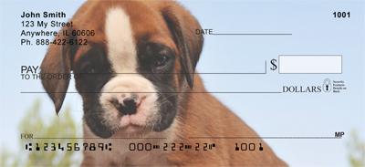 Boxer Puppies