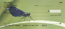 Blue Dragonflies