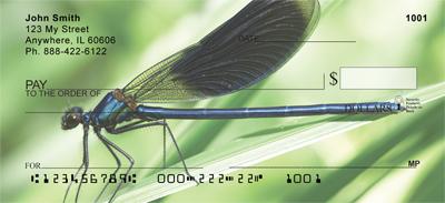 Blue Dragonflies
