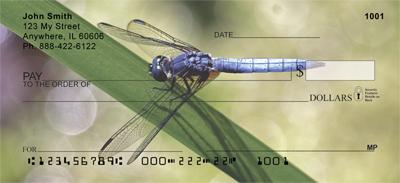 Blue Dragonflies