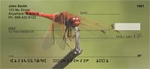 Red Dragonflies